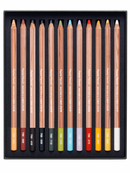 Lápices Pastel Caran D Ache Set 12 Colores